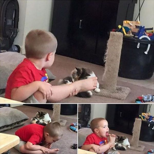 Daily Picdump