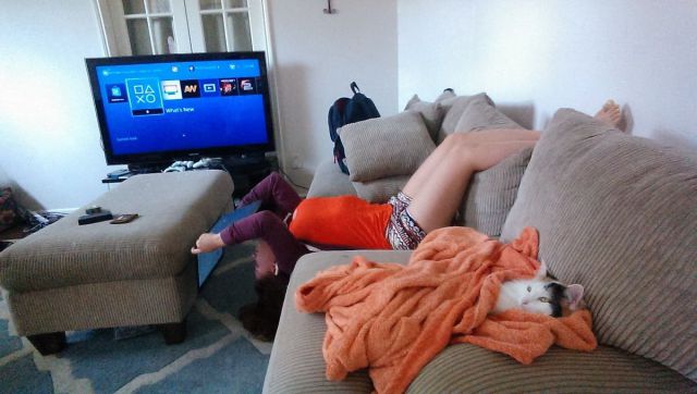 Daily Picdump