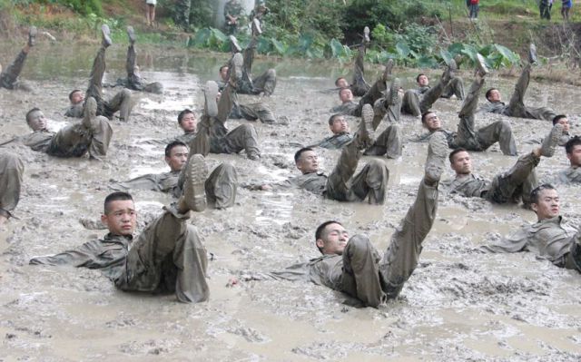 Daily Picdump