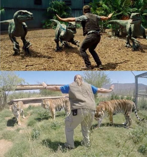 Daily Picdump