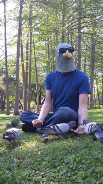 Content Image