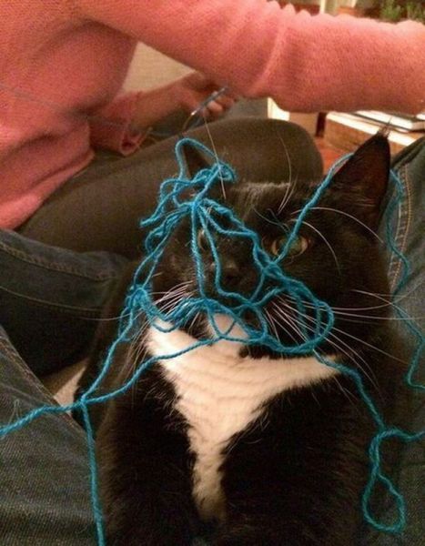 Content Image
