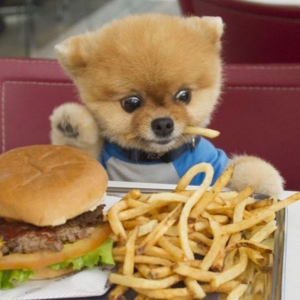 Content Image