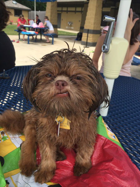 Morning Picdump