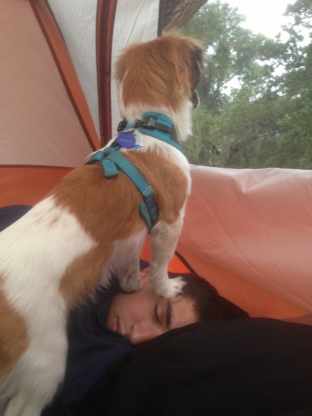 Morning Picdump
