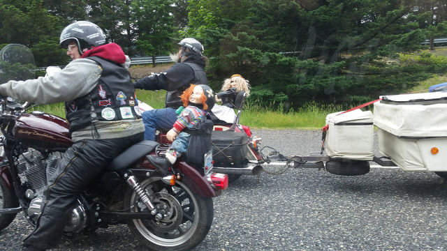 Morning Picdump