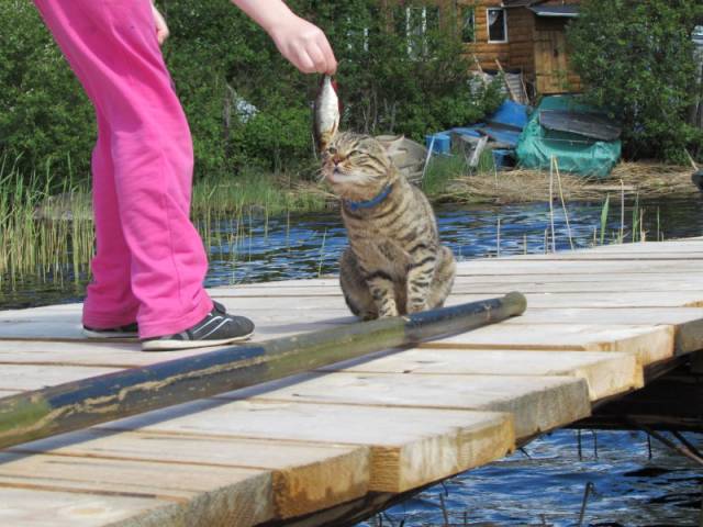 Morning Picdump