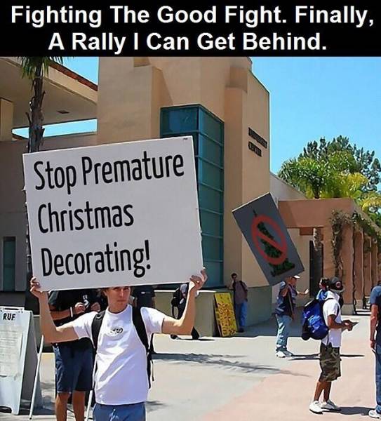 Morning Picdump