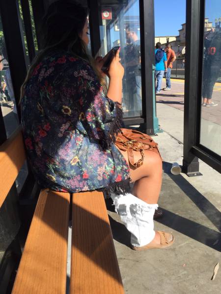 Morning Picdump
