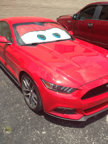 Morning Picdump