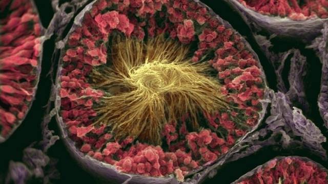 Sex Related Things You Should Know About