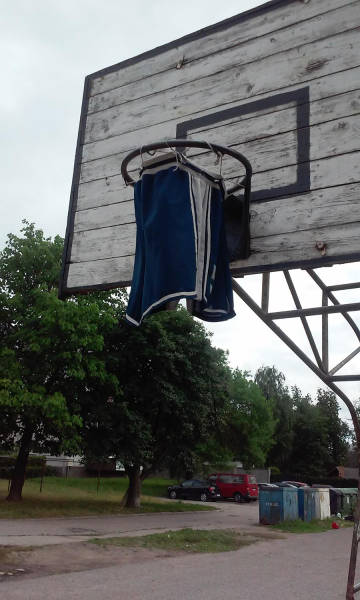 Morning Picdump