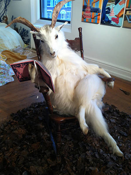 Morning Picdump
