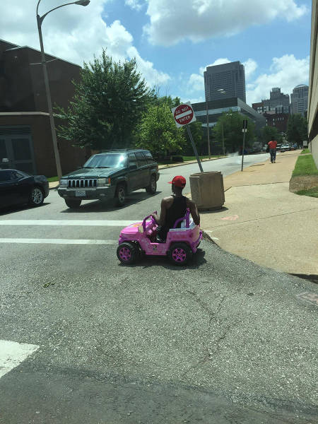 Morning Picdump