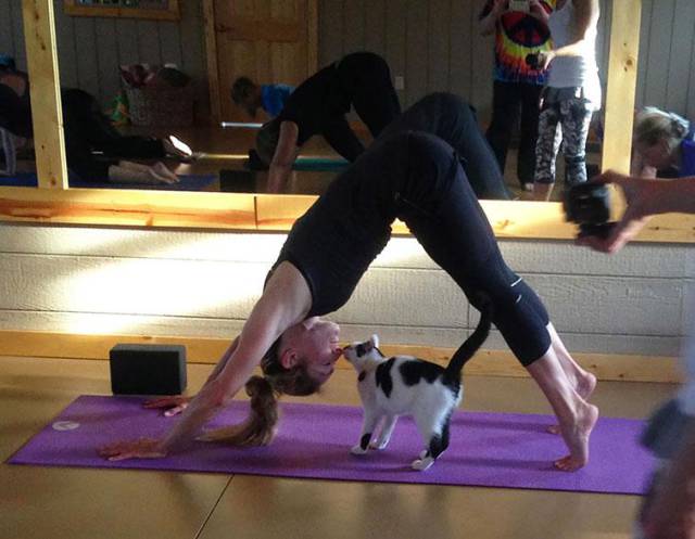 Morning Picdump