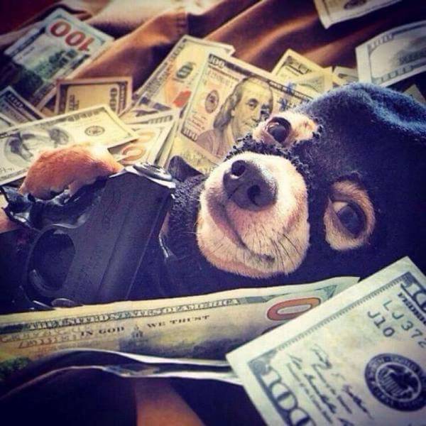 Daily Picdump
