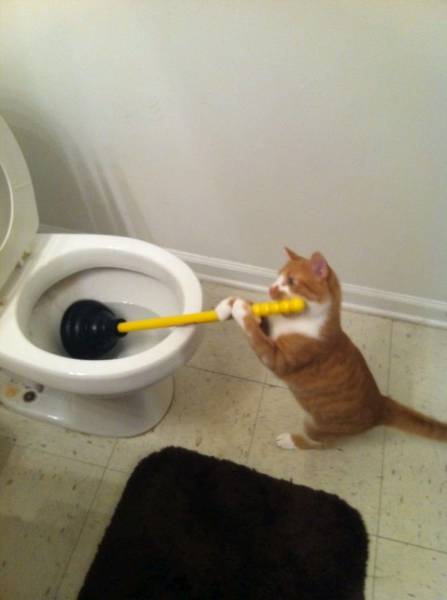 Daily Picdump