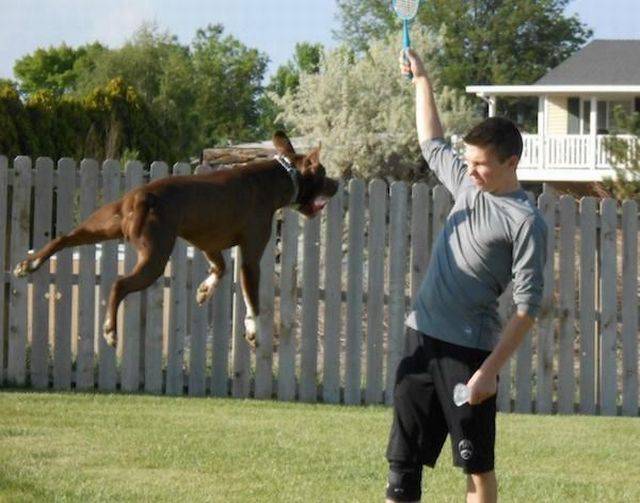 Daily Picdump