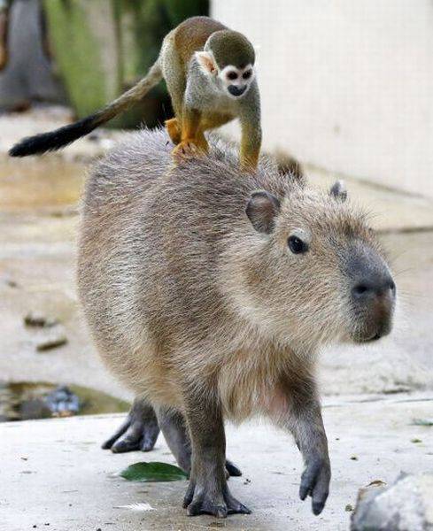Daily Picdump