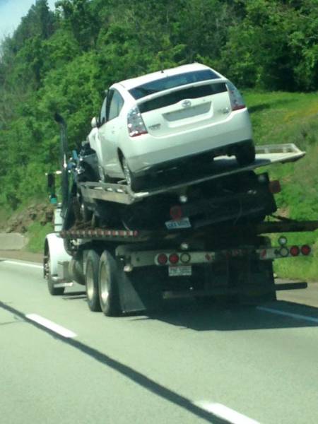 Morning Picdump
