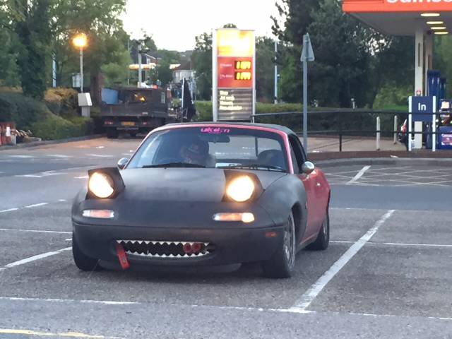 Morning Picdump