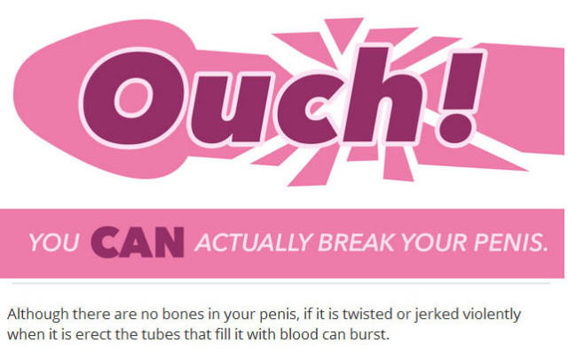 Things You Probably Didn’t Know about Penises in General