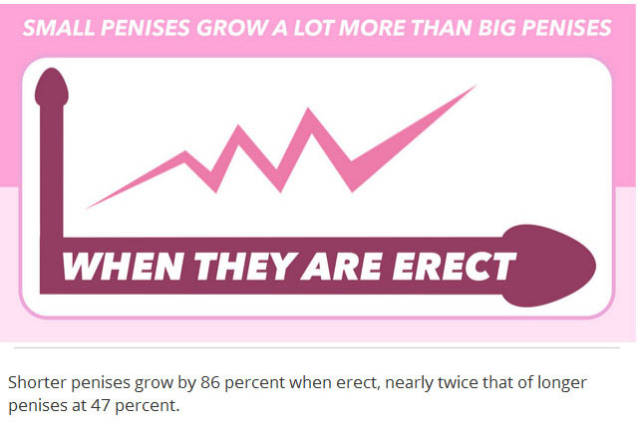 Things You Probably Didn’t Know about Penises in General