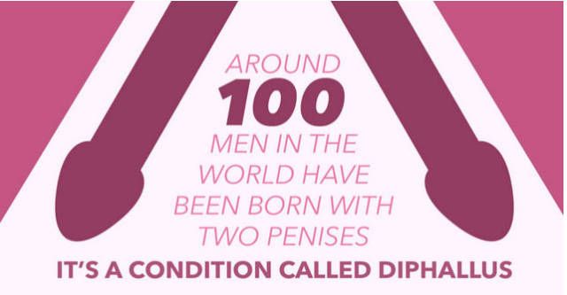 Things You Probably Didn’t Know about Penises in General