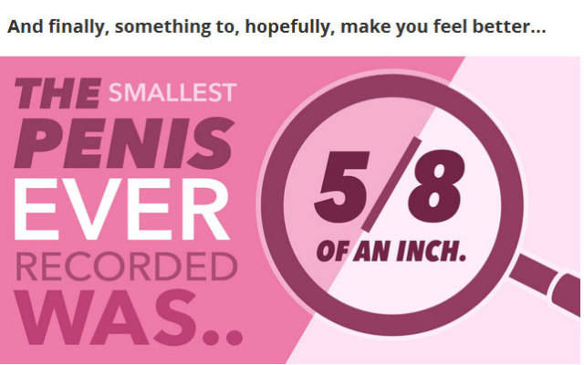 Things You Probably Didn’t Know about Penises in General