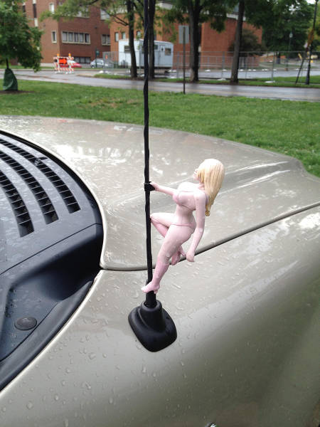 Morning Picdump