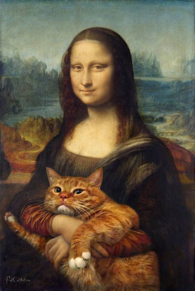 Morning Picdump