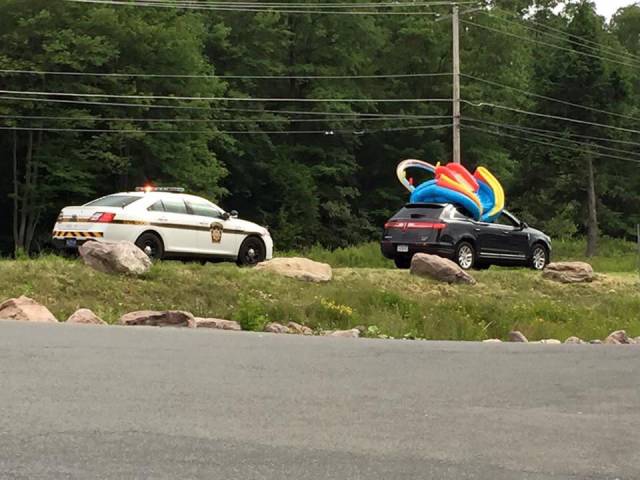 Morning Picdump