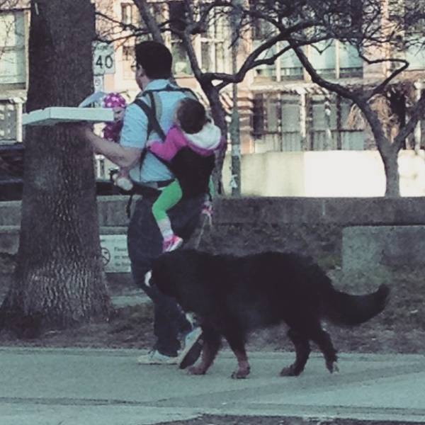 Morning Picdump