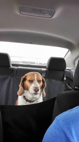 Morning Picdump