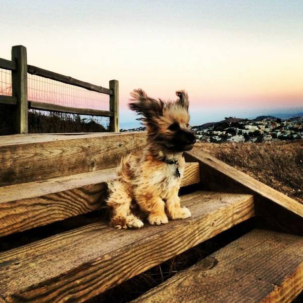 Morning Picdump