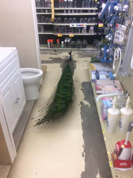 Morning Picdump