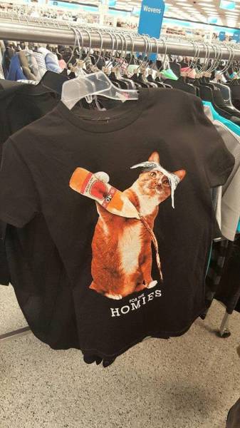 Morning Picdump