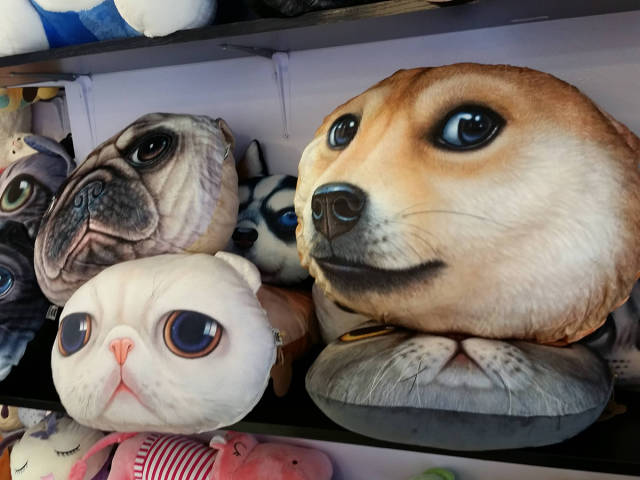 Content Image