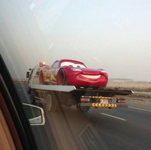 Morning Picdump