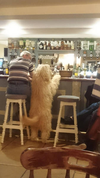 Morning Picdump