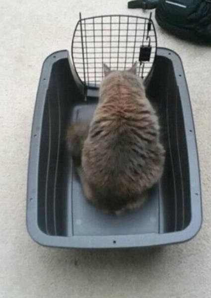 Morning Picdump