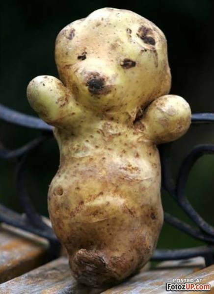Morning Picdump