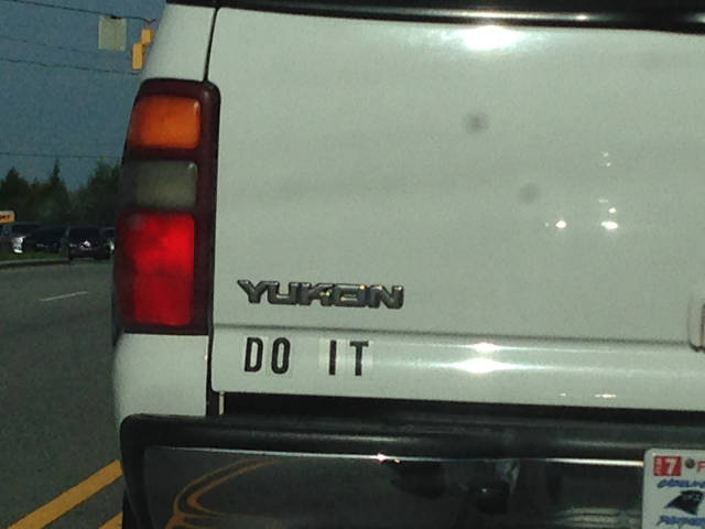 Morning Picdump