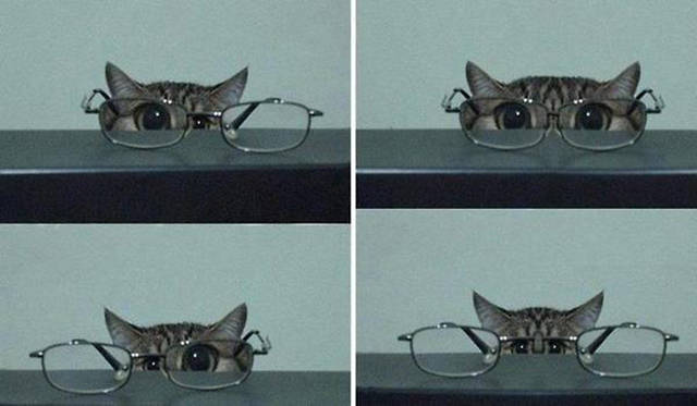 Morning Picdump
