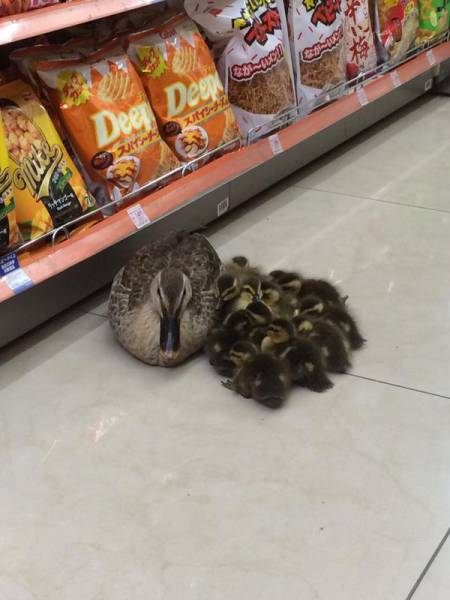 Morning Picdump