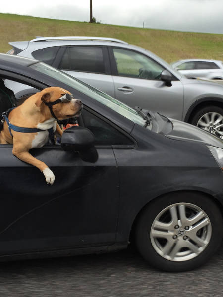Morning Picdump