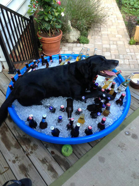 Morning Picdump