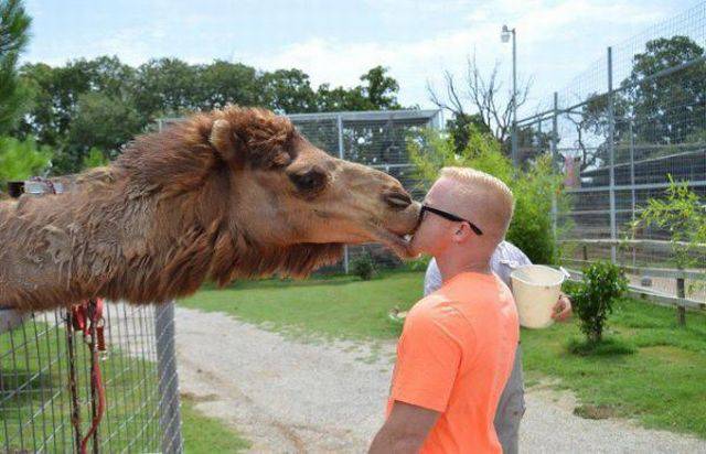 Daily Picdump