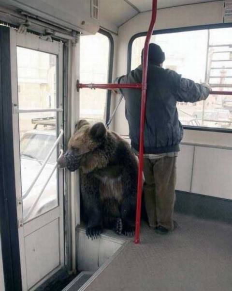Daily Picdump