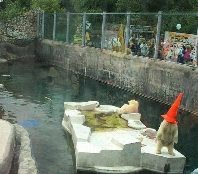 Daily Picdump